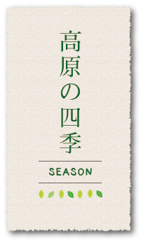 高原の四季season